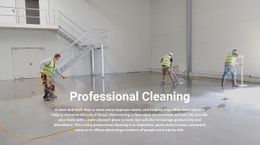 Professional Cleaning