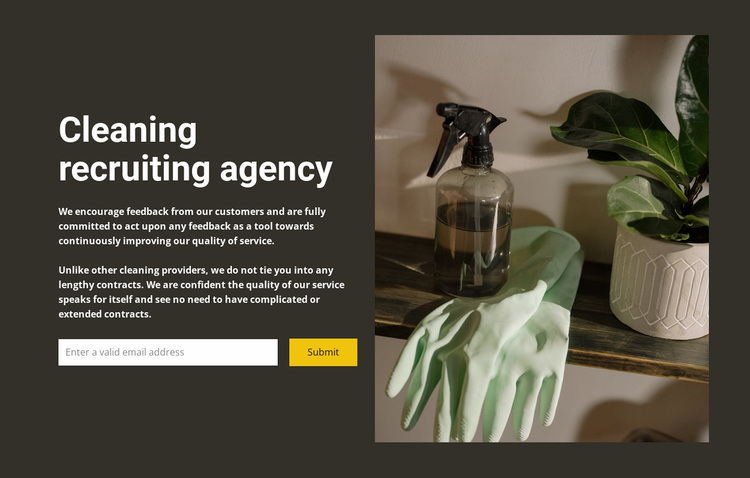 Any cleaning Website Design