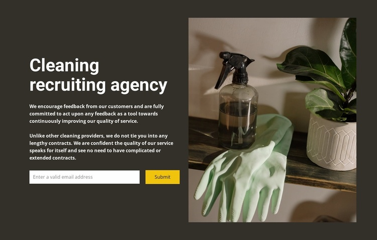 Any cleaning Website Template
