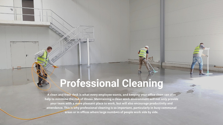 Professional cleaning WordPress Website Builder