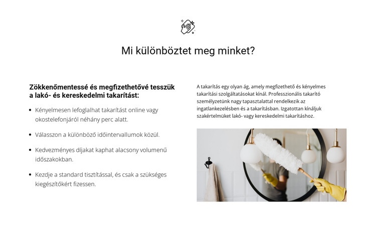 Bármilyen összetettségű tisztítás Weboldal sablon
