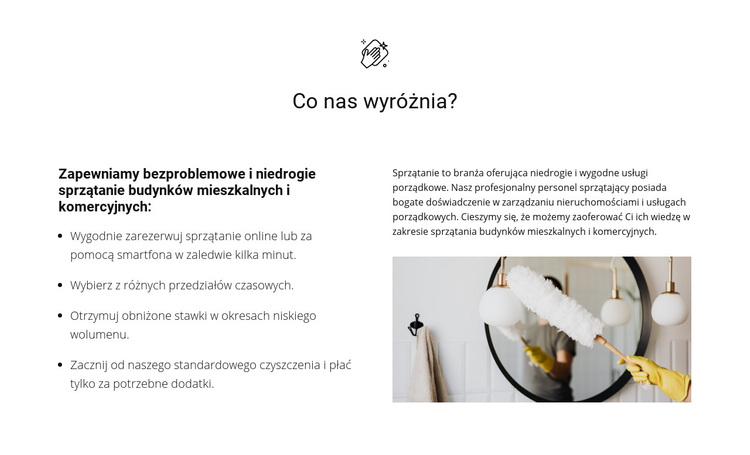 Czyszczenie o dowolnej złożoności Motyw WordPress