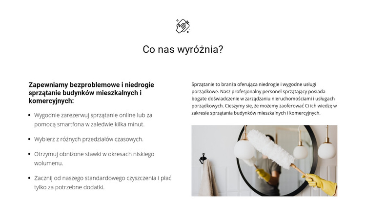 Czyszczenie o dowolnej złożoności Szablon witryny sieci Web
