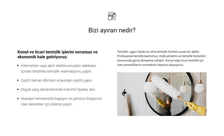Herhangi bir karmaşıklığın temizlenmesi Web Sitesi Şablonu