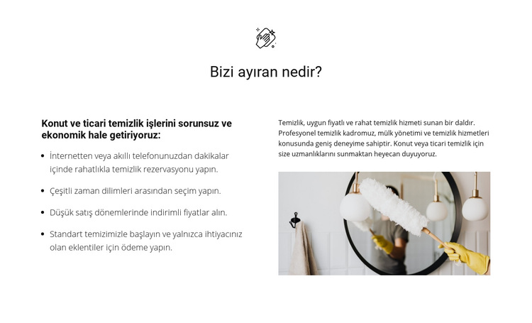 Herhangi bir karmaşıklığın temizlenmesi WordPress Teması