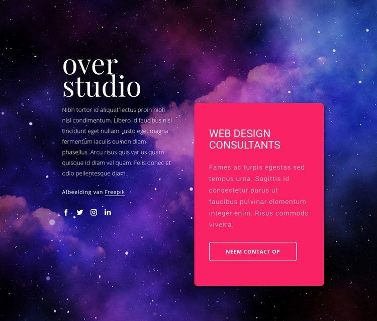 Webdesign consultants Website Builder-sjablonen