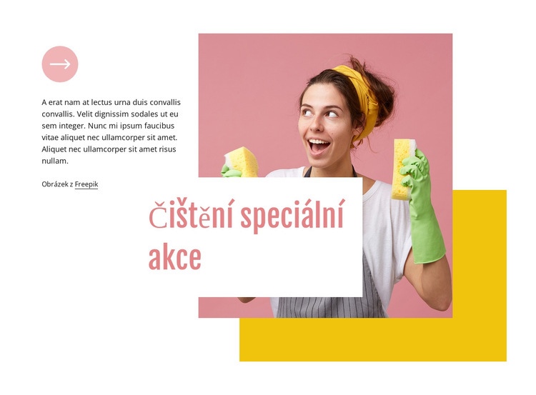 Čištění speciální akce Šablona CSS