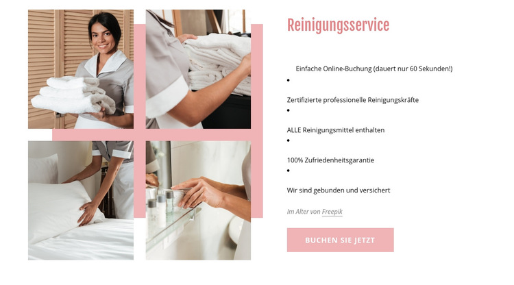 Zertifizierte professionelle Reinigungskräfte Website-Vorlage