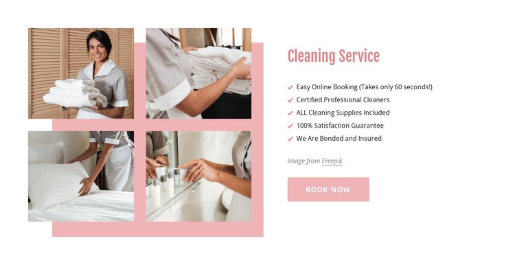Certified professional cleaners Elementor Template Alternative
