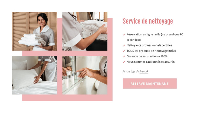 Nettoyants professionnels certifiés Modèle de site Web