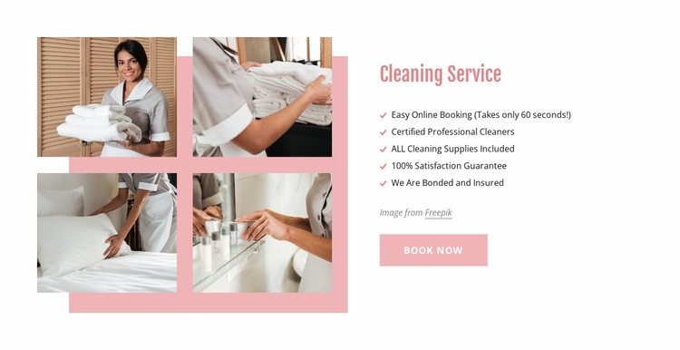 Certified professional cleaners Homepage Design