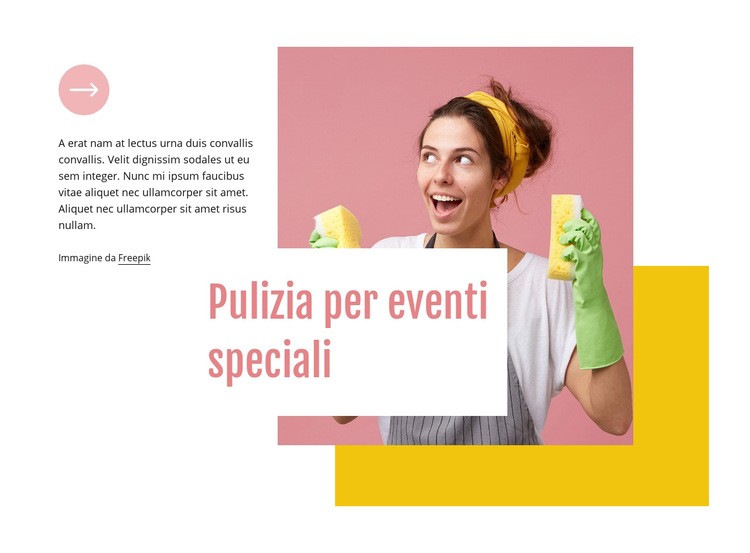 Pulizia per eventi speciali Modelli di Website Builder