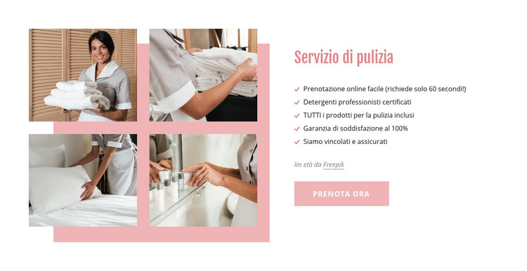 Detergenti professionali certificati Modello HTML