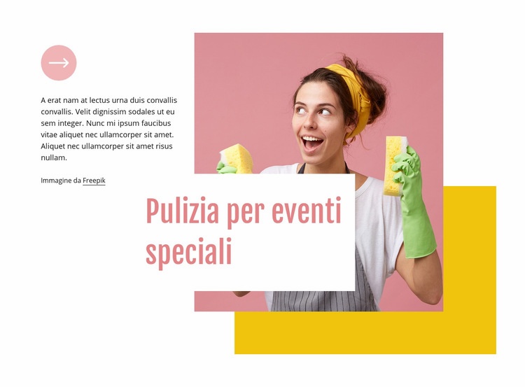 Pulizia per eventi speciali Modello