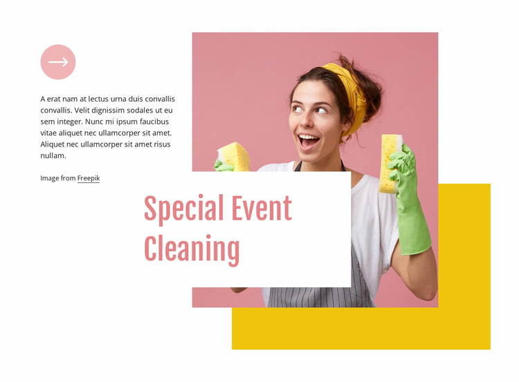 Special event cleaning WordPress Website Builder