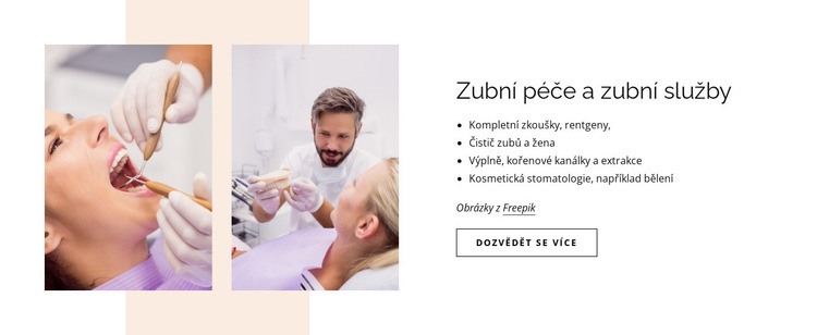 Zubní péče a zubní služby Šablona webové stránky