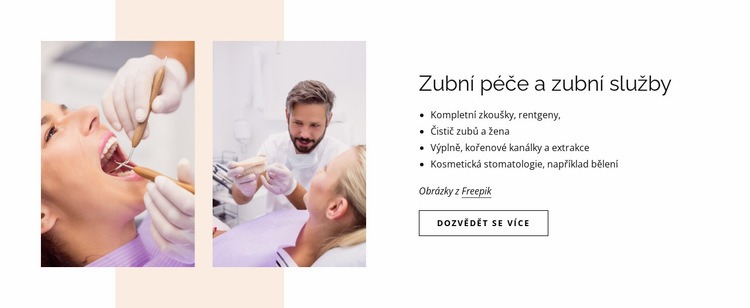 Zubní péče a zubní služby Téma WordPress