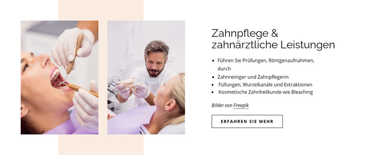 Zahnpflege und zahnärztliche Leistungen HTML-Vorlage