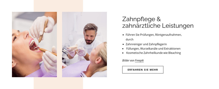 Zahnpflege und zahnärztliche Leistungen Website-Vorlage