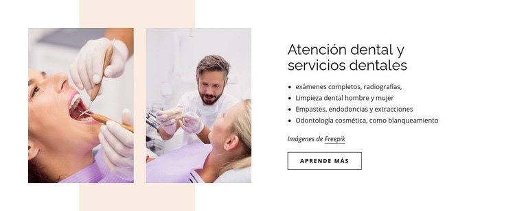 Atención dental y servicios dentales. Página de destino