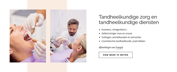 Tandheelkundige zorg en tandheelkundige diensten Website sjabloon