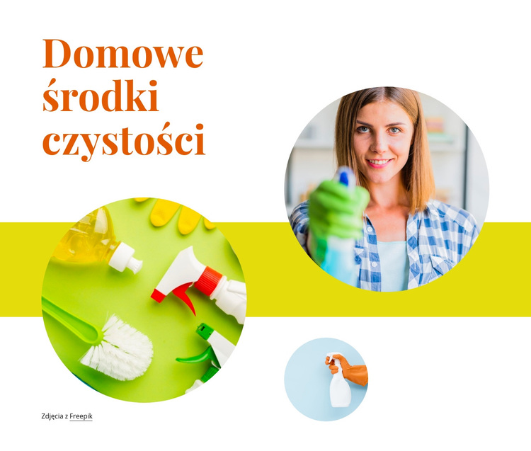 Domowe środki czystości Motyw WordPress