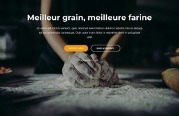 Croissants Et Viennoiseries Fraîchement Sortis Du Four - Builder HTML