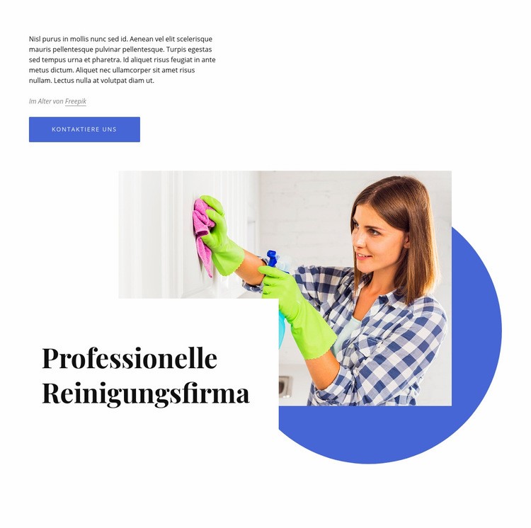 Professionelle Reinigungsfirma Landing Page