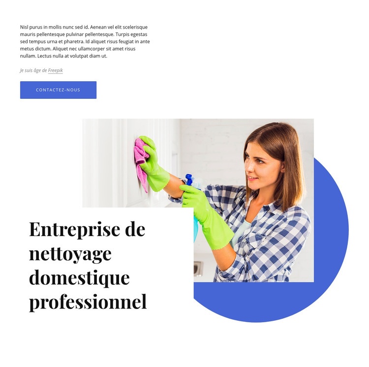 Entreprise de nettoyage domestique professionnel Maquette de site Web