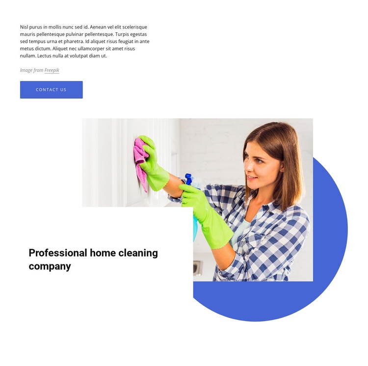 Professional home cleaning company Homepage Design