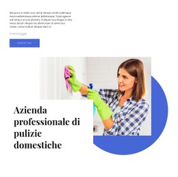 Azienda Professionale Di Pulizie Domestiche Modello HTML Di Base Con CSS