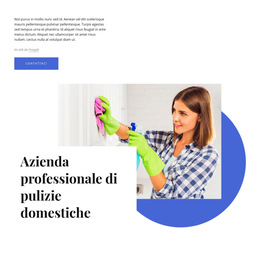 Azienda Professionale Di Pulizie Domestiche: Modello Di Sito Web Per Dispositivi Mobili