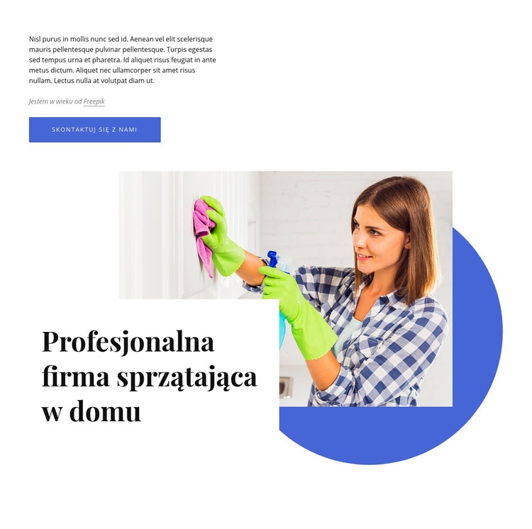 Profesjonalna firma sprzątająca w domu Projekt strony internetowej