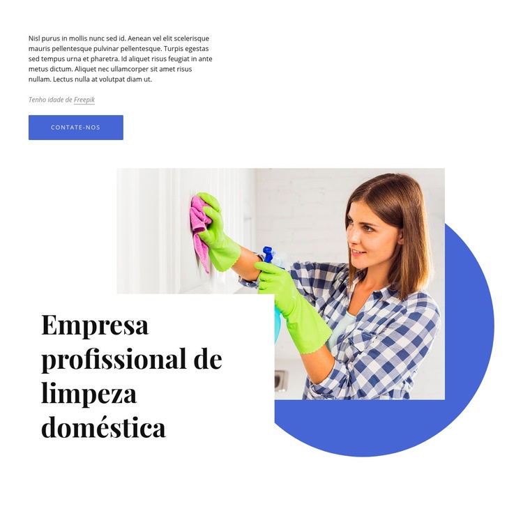 Empresa profissional de limpeza doméstica Maquete do site