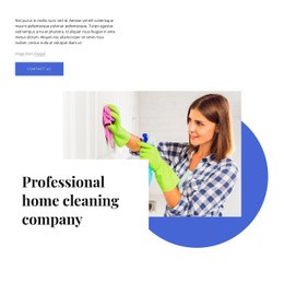 Professional Home Cleaning Company - Web Page Design