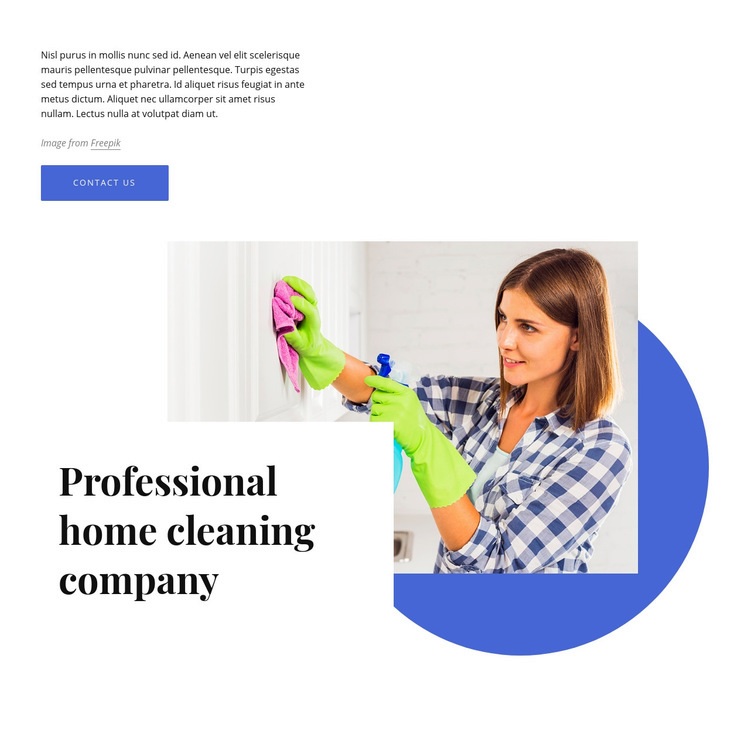 Professional home cleaning company Web Page Design