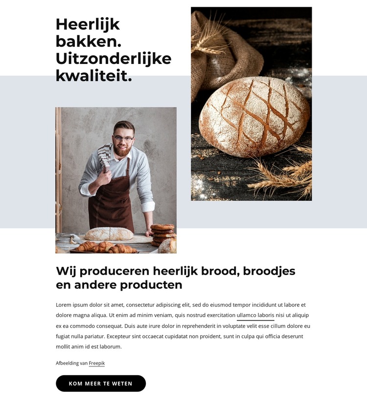 Brood, koekjes, cakes Website sjabloon