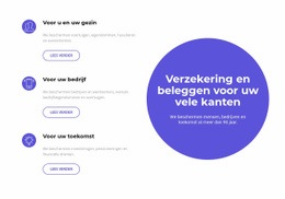 Investeren In De Toekomst - Professioneel Websiteontwerp