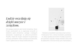 Funkcjonalność Układu Motywu Dla Dwa Teksty I Zdjęcie