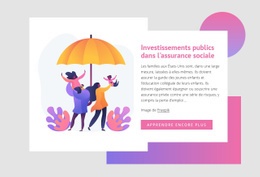 Investissements Publics Dans L'Assurance Sociale - Conception De Site Web Ultime