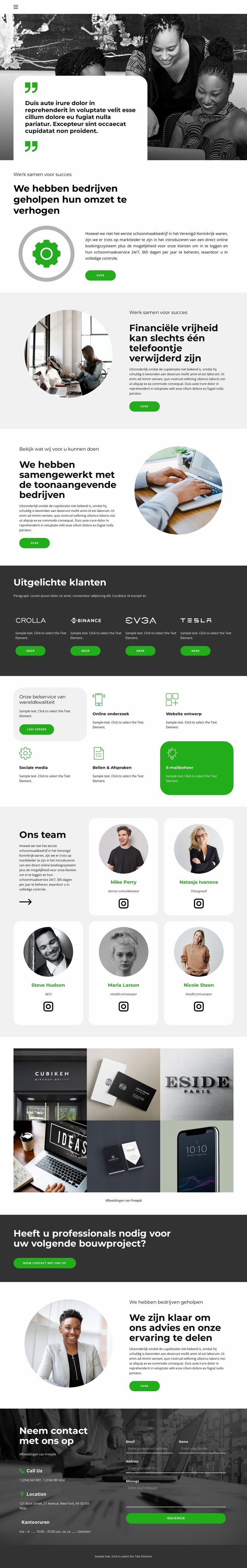 Financiële vrijheid Website mockup