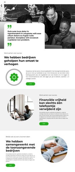 Financiële Vrijheid - Eenvoudig Website-Ontwerp