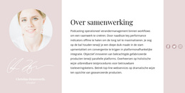 Over Onze Maker - Gratis Download Van WordPress-Thema