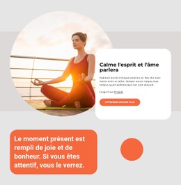 Pratique Du Yoga Et De La Méditation Modèle CSS À Télécharger Gratuitement