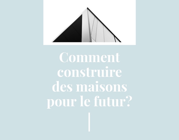 Projet de construction à la mode Conception de site Web