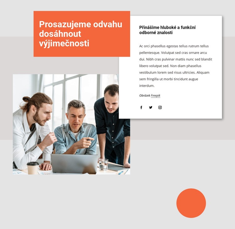 Můžeme změnit vaše podnikání Téma WordPress