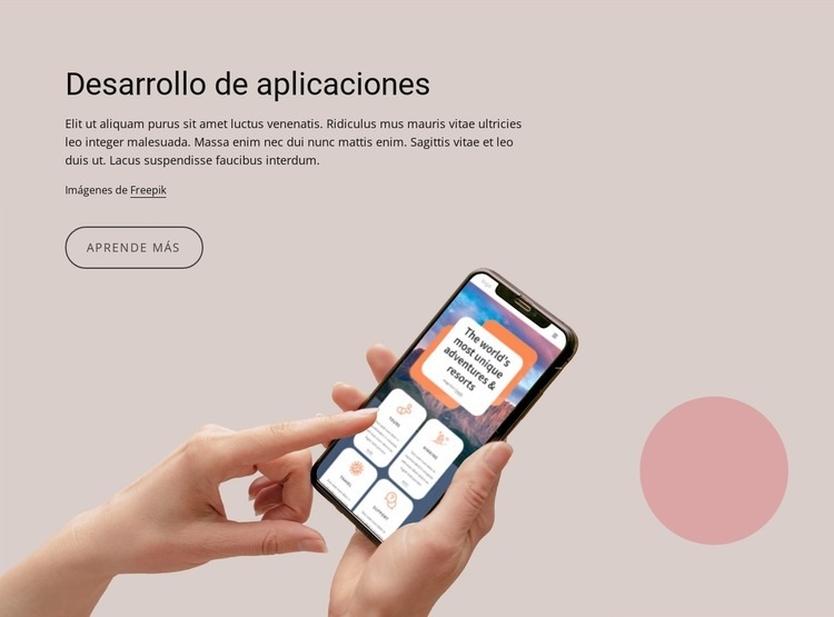 Servicios de desarrollo de aplicaciones web a medida Diseño de páginas web