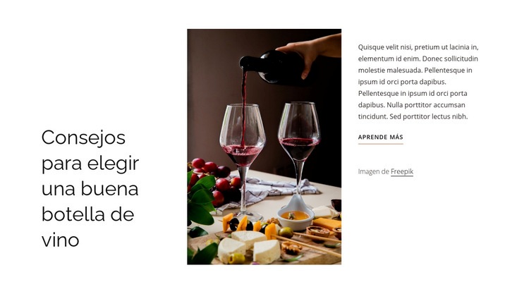 Buena botella de vino Diseño de páginas web