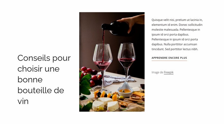 Bonne bouteille de vin Conception de site Web