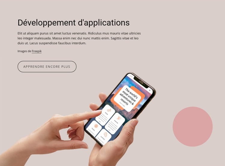 Services de développement d'applications Web personnalisées Modèle Joomla